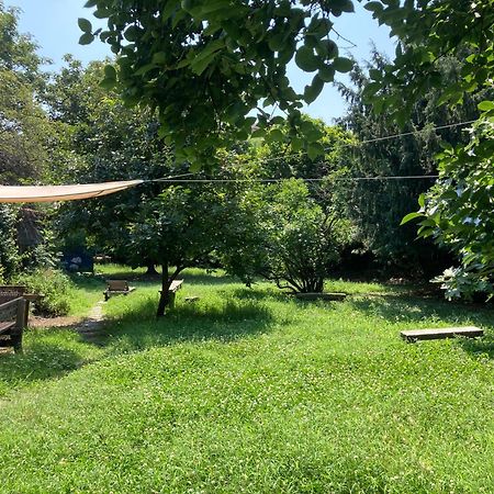 Green Oasis On Water In The Center Of ミラノ エクステリア 写真