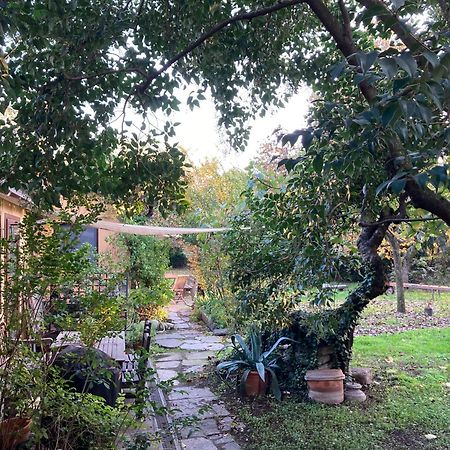 Green Oasis On Water In The Center Of ミラノ エクステリア 写真