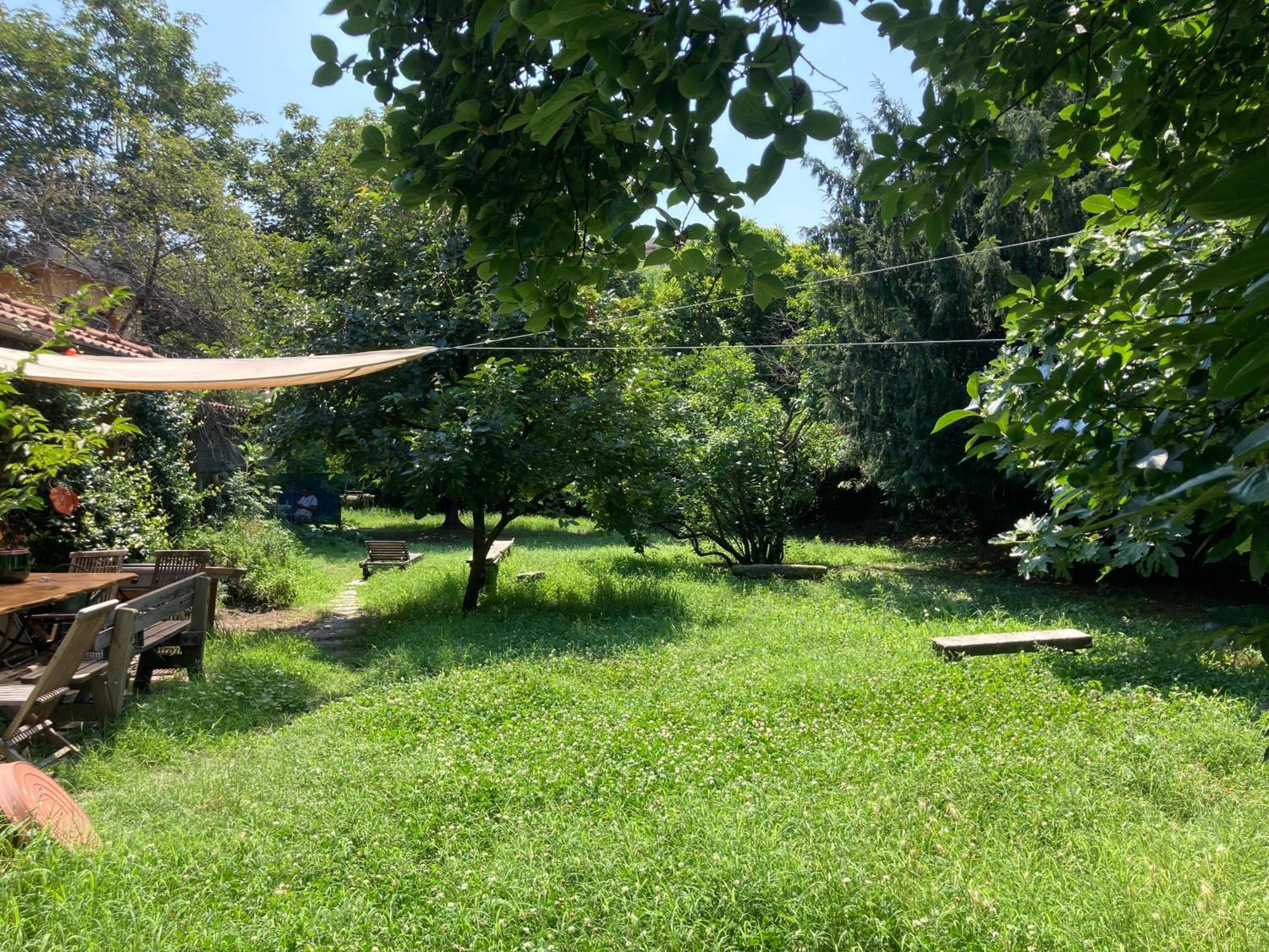 Green Oasis On Water In The Center Of ミラノ エクステリア 写真